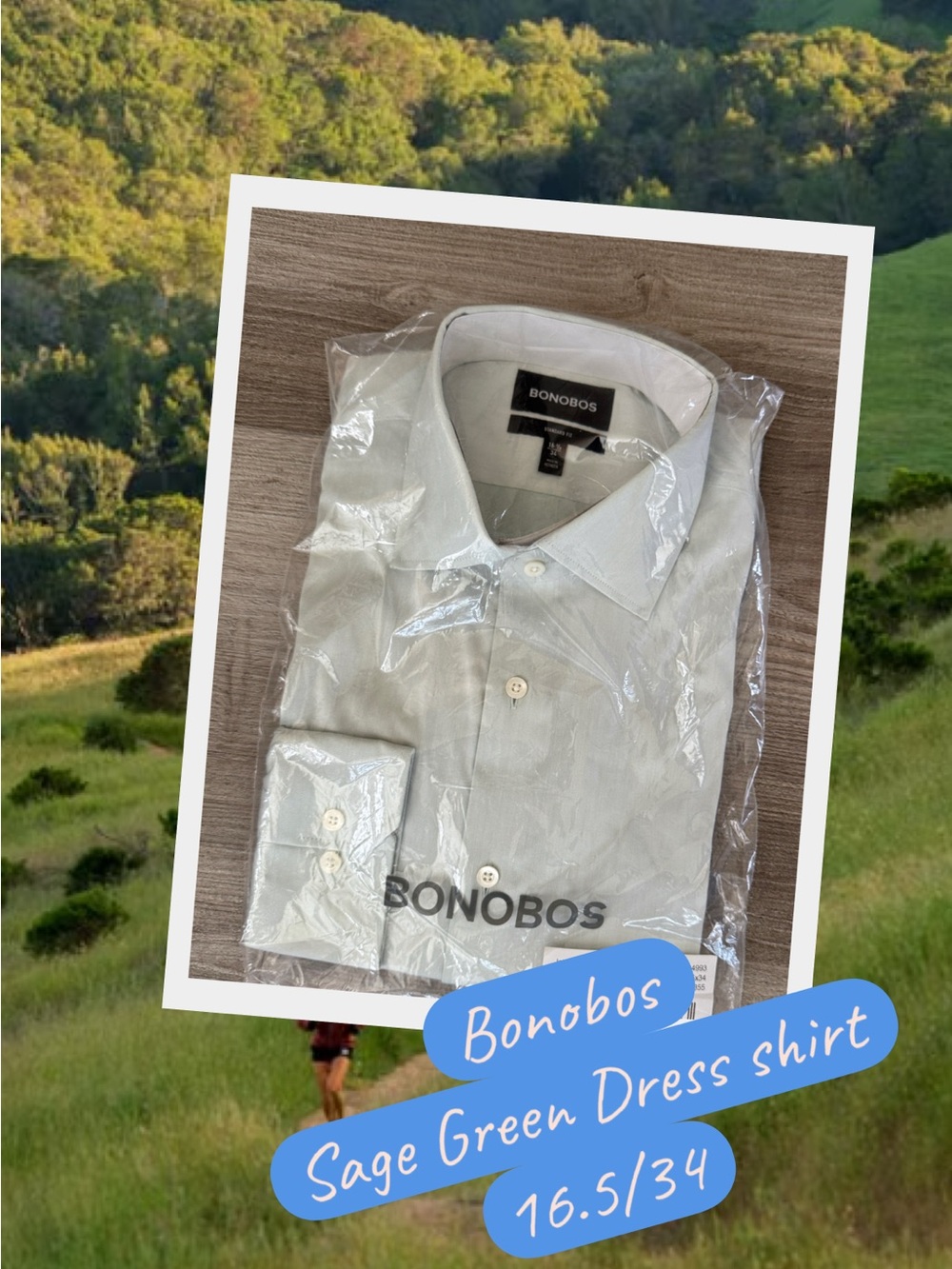 Bonobos Men's Light Sage Green Dress Shirt -